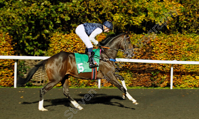 God-Of-Fire-0001 
 GOD OF FIRE (Hector Crouch)
Kempton 16 Nov 2022 - Pic Steven Cargill / Racingfotos.com