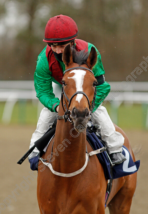 Invite-0003 
 INVITE (Hollie Doyle)
Lingfield 26 Mar 2021 - Pic Steven Cargill / Racingfotos.com