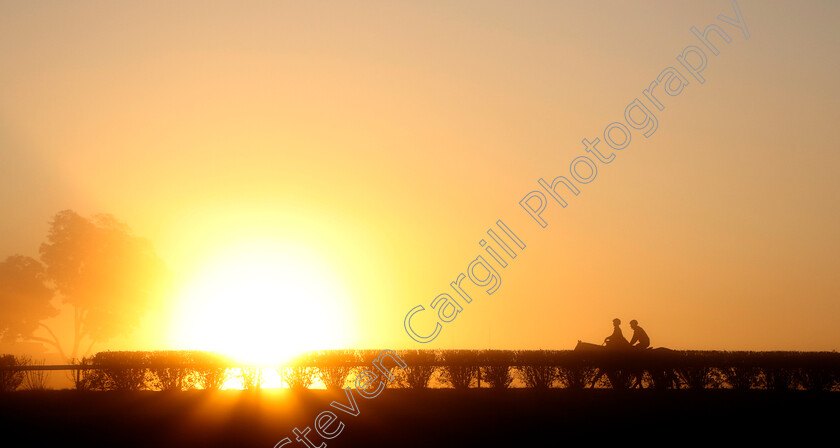 Sunrise-0001 
 Sunrise during training for the Breeders' Cup 
Keeneland USA 3 Nov 2022 - Pic Steven Cargill / Racingfotos.com