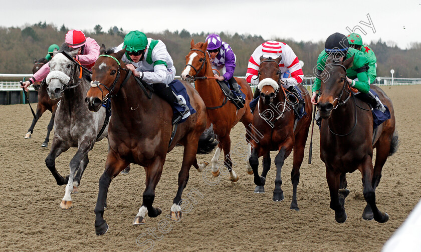 Exalted-Angel-0005 
 EXALTED ANGEL (2nd left, Clifford Lee) beats FIZZY FEET (right) and MISTY GREY (left) in The Betway Kachy Stakes
Lingfield 6 Feb 2021 - Pic Steven Cargill / Racingfotos.com