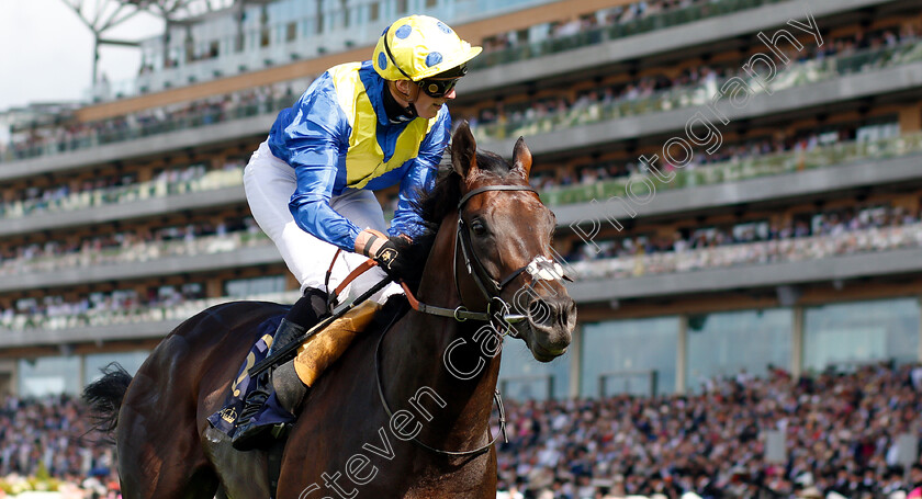 Poet s-Word-0008 
 POET'S WORD (James Doyle) wins The Prince Of Wales's Stakes
Royal Ascot 20 Jun 2018 - Pic Steven Cargill / Racingfotos.com