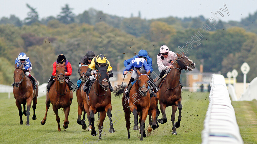 Bless-Him-0002 
 BLESS HIM (centre, Jamie Spencer) beats LORD NORTH (2nd right) as CHIEFOFCHIEFS (James Doyle) takes evasive action in The Lexicon Bracknell Handicap
Ascot 6 Sep 2019 - Pic Steven Cargill / Racingfotos.com