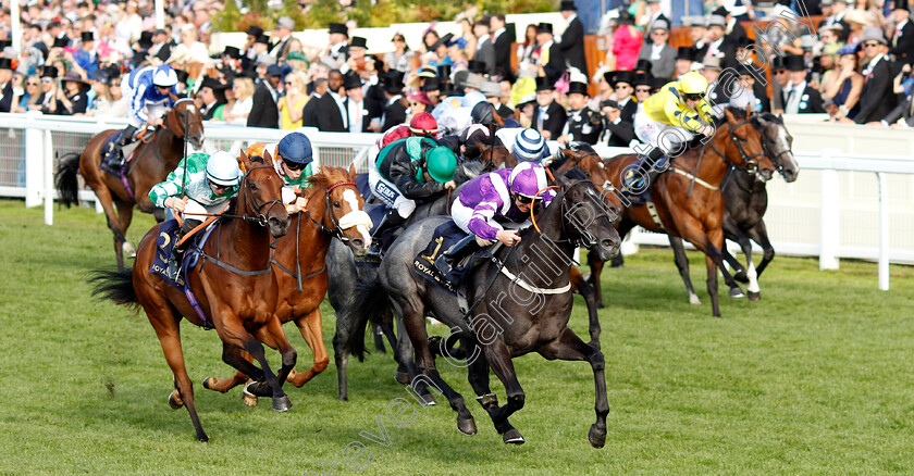 Pilgrim-0005 
 PILGRIM (Joe Fanning) wins The Palace of Holyroodhouse Stakes
Royal Ascot 21 Jun 2024 - Pic Steven Cargill / Racingfotos.com