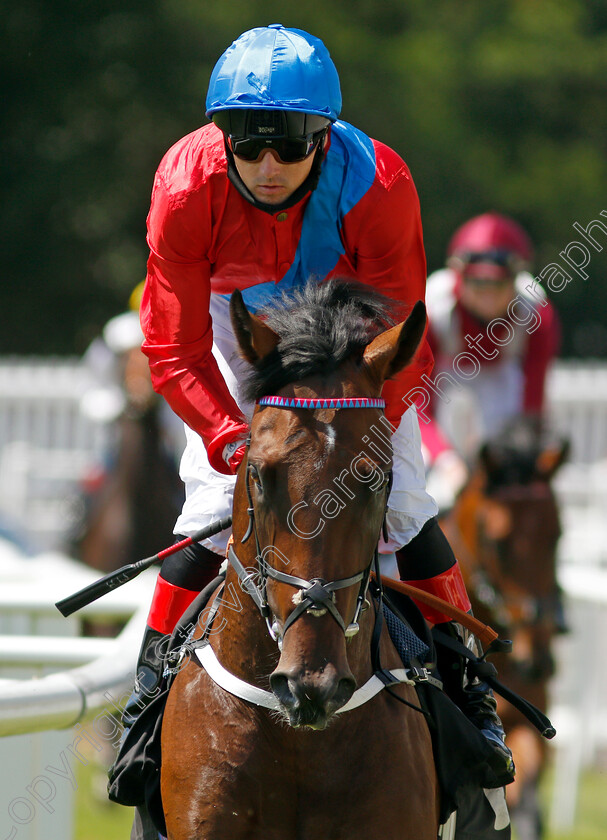 Forward-Flight-0001 
 FORWARD FLIGHT (Martin Harley)
Newbury 16 Jul 2021 - Pic Steven Cargill / Racingfotos.com