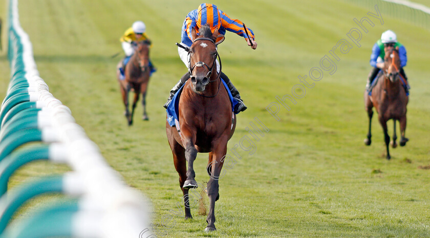 New-World-Tapestry-0004 
 NEW WORLD TAPESTRY (Ryan Moore) wins The Derrinstown Irish EBF Maiden Stakes
Newmarket 27 Sep 2019 - Pic Steven Cargill / Racingfotos.com