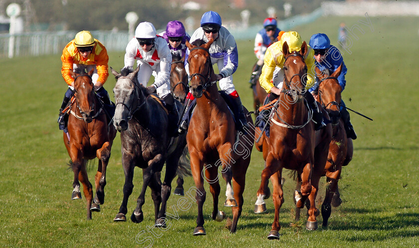 Summer-Moon-0007 
 SUMMER MOON (yellow, Ryan Moore) beats PROTECTED GUEST (2nd right) in The Dan Hague Betting On The Rails Handicap
Yarmouth 19 Sep 2019 - Pic Steven Cargill / Racingfotos.com