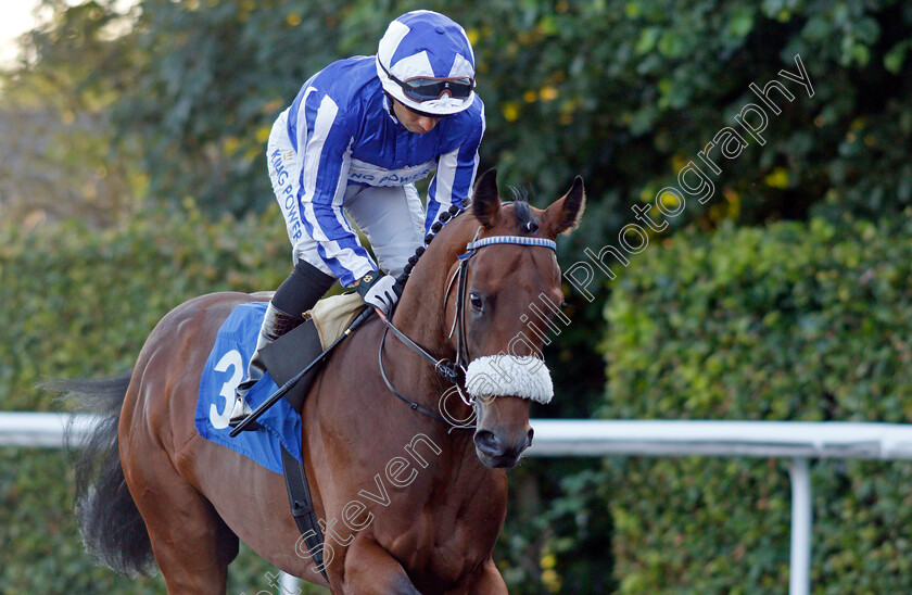 Aegis-Power-0001 
 AEGIS POWER (Silvestre De Sousa)
Kempton 4 Aug 2021 - Pic Steven Cargill / Racingfotos.com