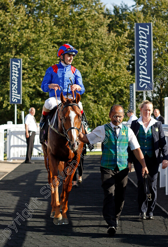 Nayef-Road-0006 
 NAYEF ROAD (Andrea Atzeni) winner of The Jockey Club Rose Bowl Stakes
Newmarket 23 Sep 2021 - Pic Steven Cargill / Racingfotos.com