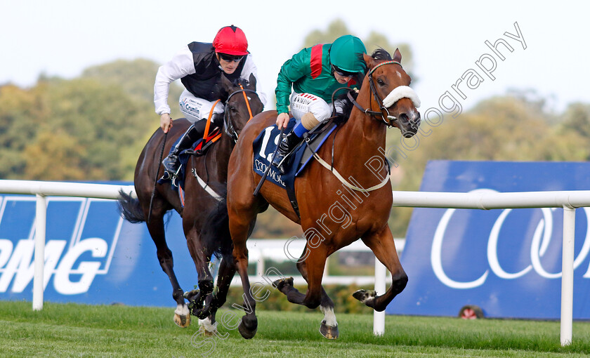 Tahiyra-0007 
 TAHIYRA (Chris Hayes) wins The Coolmore America Matron Stakes
Leopardstown 9 Sep 2023 - Pic Steven Cargill / Racingfotos.com