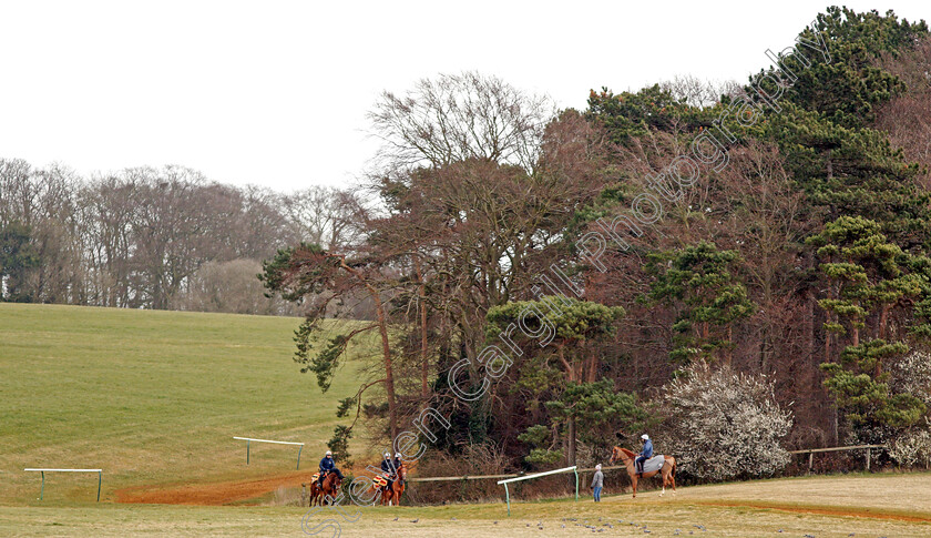 Newmarket-0009 
 A string of racehorses walk back to their stables after exercising on Warren Hill Newmarket 23 Mar 2018 - Pic Steven Cargill / Racingfotos.com