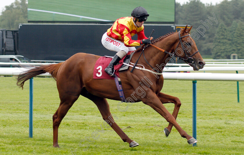 Sir-Ron-Priestley-0003 
 SIR RON PRIESTLEY (Franny Norton) wins The Amix Handicap
Haydock 25 May 2019 - Pic Steven Cargill / Racingfotos.com