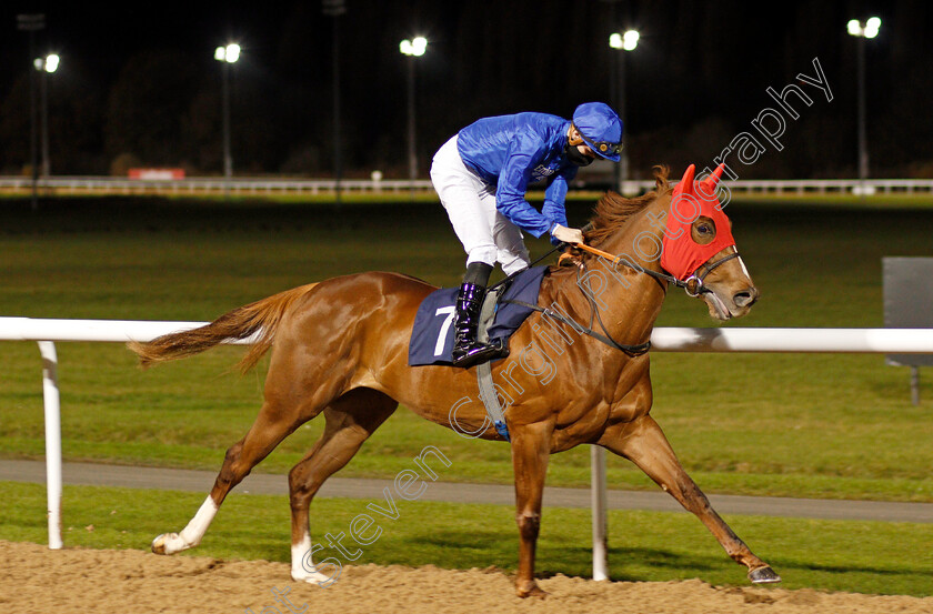 Silent-Escape-0001 
 SILENT ESCAPE (Hector Crouch) winner of The Bombardier British Hopped Amber Beer Novice Stakes
Wolverhampton 24 Nov 2020 - Pic Steven Cargill / Racingfotos.com