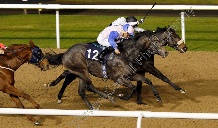 Maurice-Dancer-0003 
 MAURICE DANCER (farside, Paul Mulrennan) beats BEAT THE BREEZE (nearside) in The Ladbrokes Nursery
Wolverhampton 26 Nov 2019 - Pic Steven Cargill / Racingfotos.com