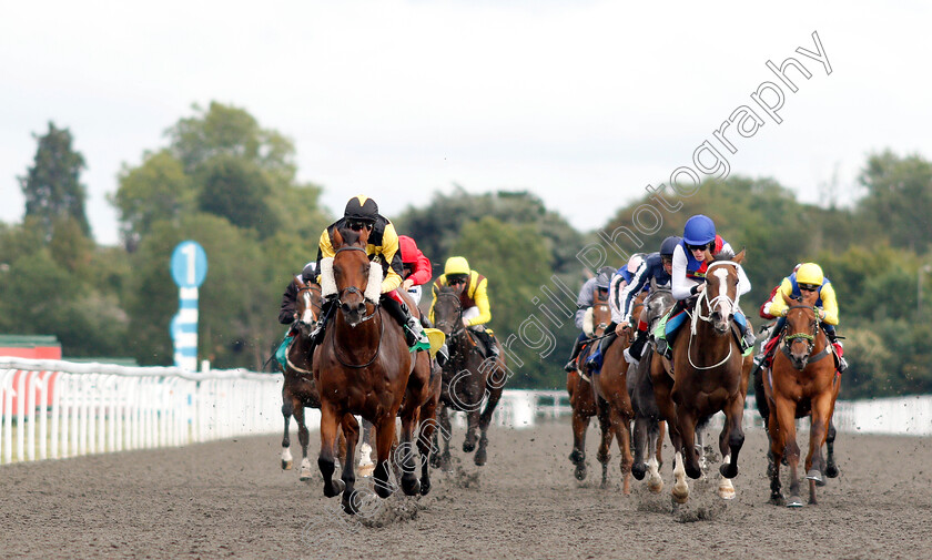 Baashiq-0001 
 BAASHIQ (Adam Kirby) wins The Bet At racingtv.com Handicap
Kempton 7 Aug 2019 - Pic Steven Cargill / Racingfotos.com