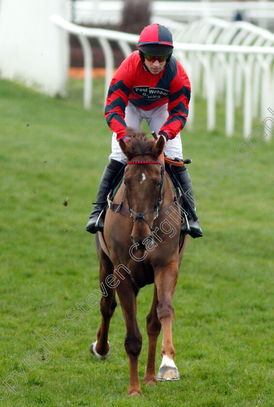 House-Island-0002 
 HOUSE ISLAND (Gavin Sheehan) winner of The Racing TV Standard Open National Hunt Flat Race
Newbury 22 Mar 2019 - Pic Steven Cargill / Racingfotos.com