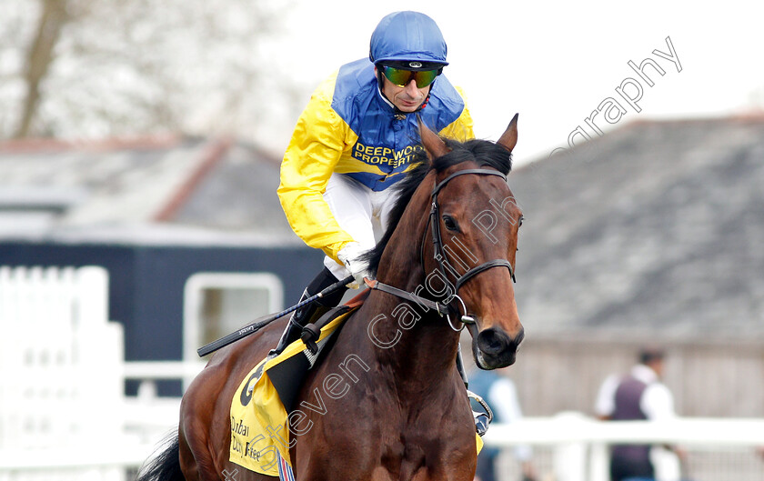 Marmelo-0002 
 MARMELO (Gerald Mosse) winner of The Dubai Duty Free John Porter Stakes
Newbury 13 Apr 2019 - Pic Steven Cargill / Racingfotos.com