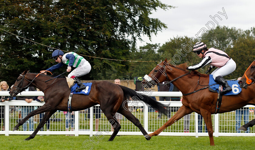 Neenee s-Choice-0004 
 NEENEE'S CHOICE (Oisin Murphy) beats LADY RESET (right) in The Molson Coors Handicap
Salisbury 2 Sep 2021 - Pic Steven Cargill / Racingfotos.com