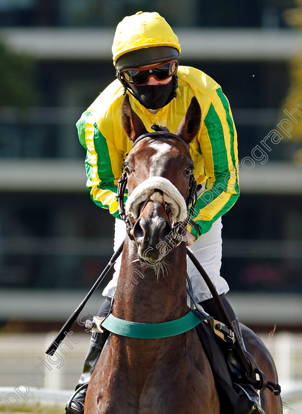 Thistleton-0001 
 THISTLETON (Liam Keniry)
Newbury 18 Sep 2020 - Pic Steven Cargill / Racingfotos.com