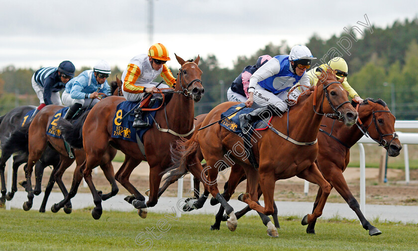 Appelina-0002 
 APPELINA (Jan-Erik Neuroth) beats MAAMORA (farside) and HATEYA (left) in The Lanwades Stud Stakes
Bro Park, Sweden 22 Sep 2019 - Pic Steven Cargill / Racingfotos.com