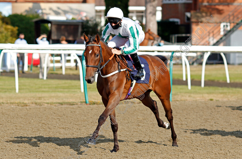 Lunar-Shadow-0001 
 LUNAR SHADOW (Martin Harley)
Lingfield 5 Aug 2020 - Pic Steven Cargill / Racingfotos.com