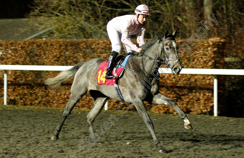 Trapani-0001 
 TRAPANI (Kieran O'Neill)
Kempton 12 Dec 2018 - Pic Steven Cargill / Racingfotos.com