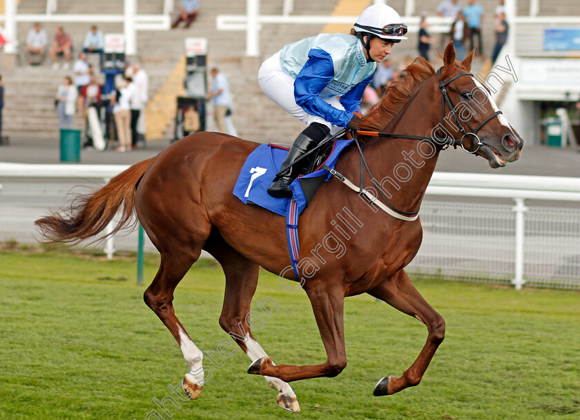 Dinah-Washington-0001 
 DINAH WASHINGTON (Hayley Turner)
Nottingham 16 Jul 2019 - Pic Steven Cargill / Racingfotos.com