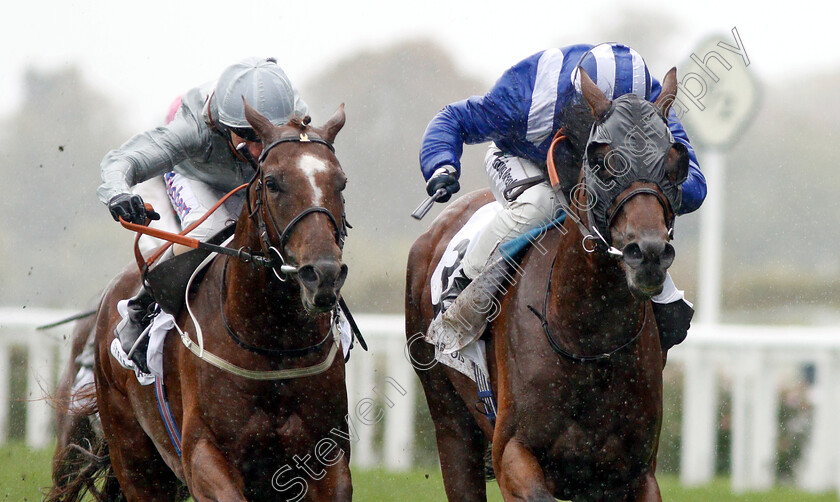 Laraaib-0006 
 LARAAIB (right, Jim Crowley) beats COMMUNIQUE (left) in The Stella Artois Cumberland Lodge Stakes
Ascot 6 Oct 2018 - Pic Steven Cargill / Racingfotos.com