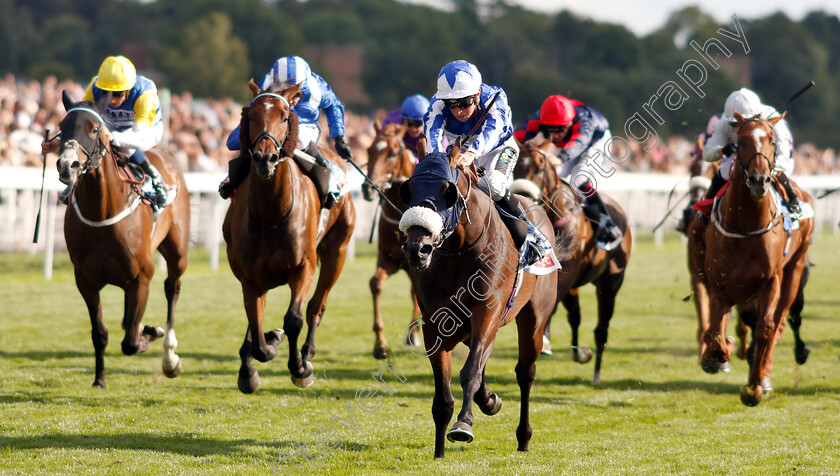 Pivoine-0003 
 PIVOINE (Jason Watson) wins The Sky Bet Handicap
York 25 Aug 2018 - Pic Steven Cargill / Racingfotos.com