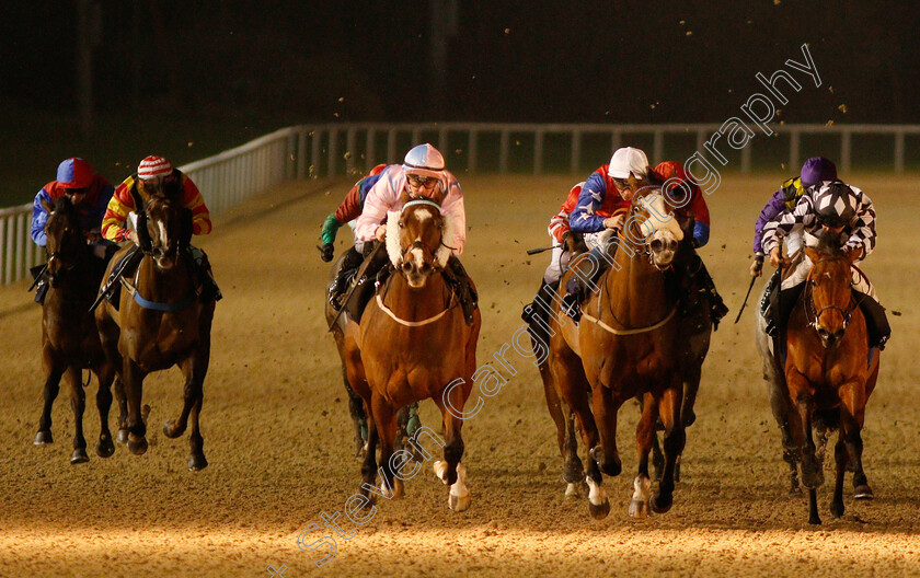 Captain-Ryan-0001 
 CAPTAIN RYAN (centre, Kieran O'Neill) beats STORM TROOPER (2nd right) and ALASKAN BAY (right) in The Betway Sprint Handicap
Wolverhampton 7 Jan 2019 - Pic Steven Cargill / Racingfotos.com