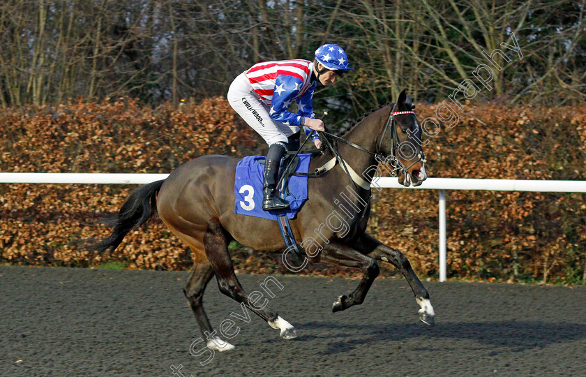 Bold-And-Loyal-0001 
 BOLD AND LOYAL (Daniel Muscutt)
Kempton 16 Feb 2022 - Pic Steven Cargill / Racingfotos.com