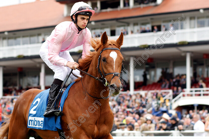 Family-Tree-0002 
 FAMILY TREE (Donnacha O'Brien)
Chester 9 May 2018 - Pic Steven Cargill / Racingfotos.com