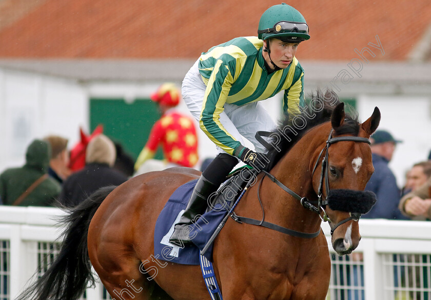 Fauntleroy-0002 
 FAUNTLEROY (Ross Coakley)
Yarmouth 19 Sep 2023 - Pic Steven Cargill / Racingfotos.com