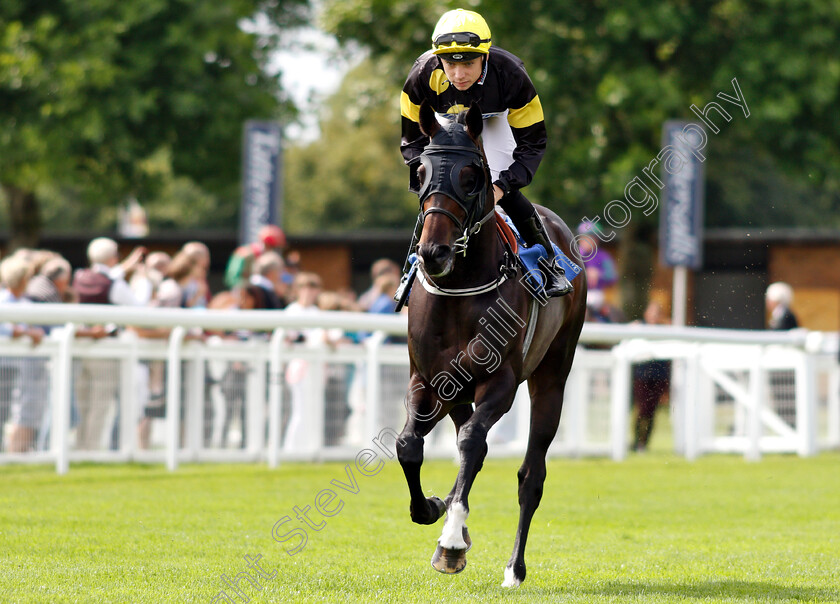 Rise-Hall-0001 
 RISE HALL (Callum Shepherd) before The M J Church Novice Stakes
Salisbury 16 Aug 2018 - Pic Steven Cargill / Racingfotos.com