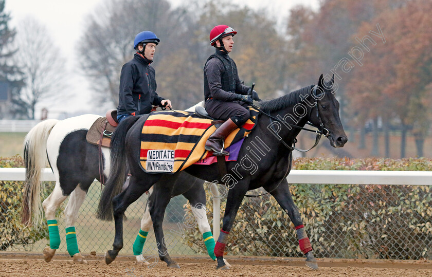 Meditate-0001 
 MEDITATE training for the Breeders' Cup Juvenile Fillies Turf
Keeneland USA 2 Nov 2022 - Pic Steven Cargill / Racingfotos.com