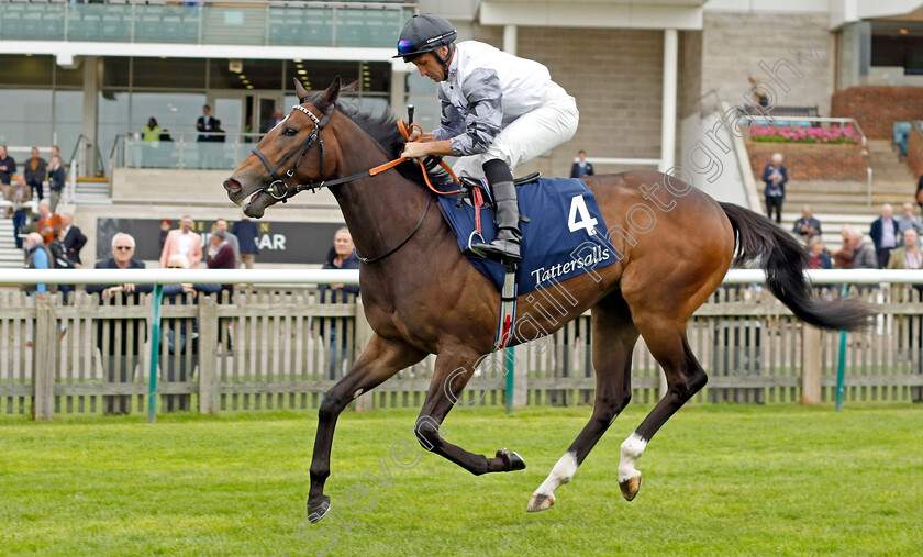 Cross-The-Tracks-0001 
 CROSS THE TRACKS (Neil Callan)
Newmarket 28 Sep 2023 - Pic Steven Cargill / Racingfotos.com