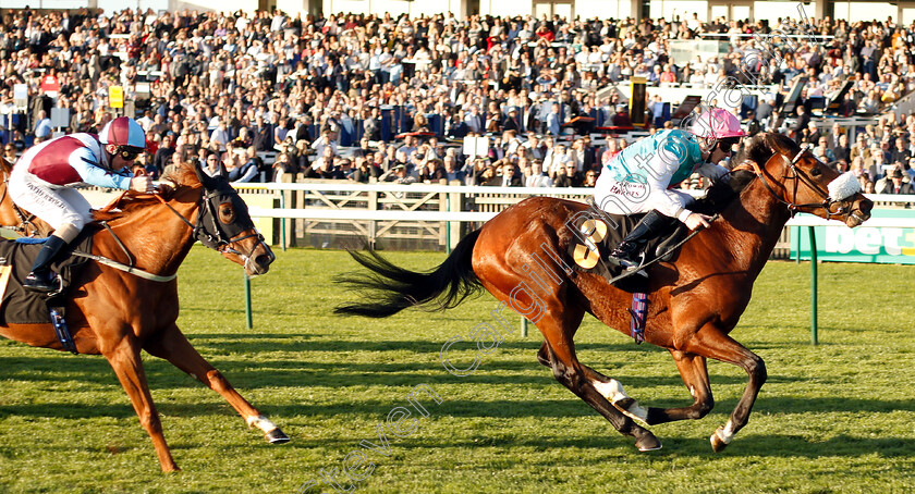 Chaleur-0004 
 CHALEUR (Richard Kingscote) wins The British Stallion Studs EBF Jersey Lily Fillies Nursery
Newmarket 29 Sep 2018 - Pic Steven Cargill / Racingfotos.com