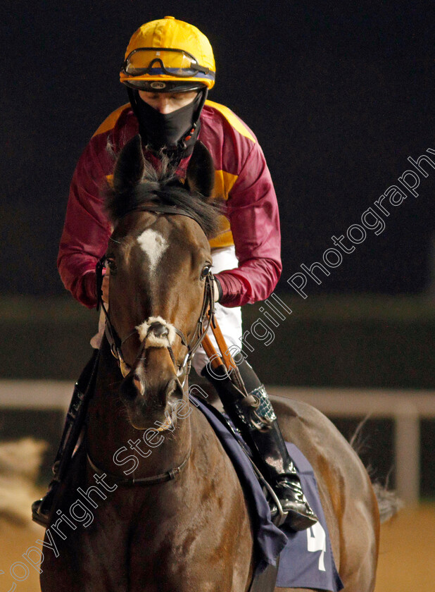 Jaramillo-0002 
 JARAMILLO (Eoin Walsh)
Wolverhampton 24 Nov 2020 - Pic Steven Cargill / Racingfotos.com