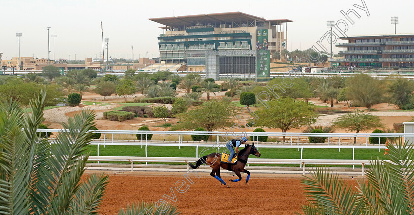 Jack-Darcy-0002 
 JACK DARCY training for The Neom Turf Cup
King Abdulaziz Racetrack, Saudi Arabia 22 Feb 2024 - Pic Steven Cargill / Racingfotos.com