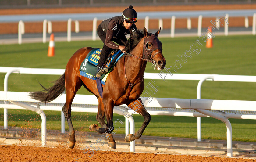 Country-Grammer-0004 
 COUNTRY GRAMMER training for The Saudi Cup
King Abdulaziz Racetrack, Riyadh, Saudi Arabia 22 Feb 2022 - Pic Steven Cargill / Racingfotos.com