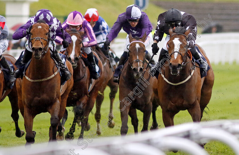 Radio-Goo-Goo-0003 
 RADIO GOO GOO (right, Ben Curtis) beats WINTER CROWN (left) in The Camden Pale Ale Handicap
Chester 10 May 2023 - Pic Steven Cargill / Racingfotos.com