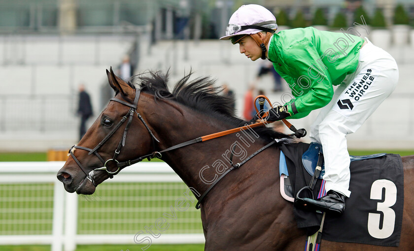 Gesundheit-0002 
 GESUNDHEIT (Saffie Osborne)
Ascot 6 Sep 2024 - Pic Steven Cargill / Racingfotos.com