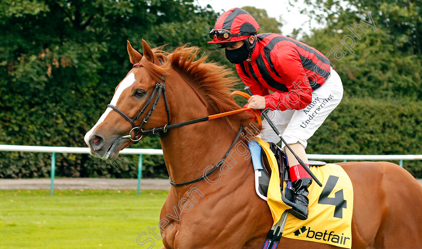 Stormy-Antarctic-0001 
 STORMY ANTARCTIC (Andrea Atzeni)
Haydock 5 Sep 2020 - Pic Steven Cargill / Racingfotos.com