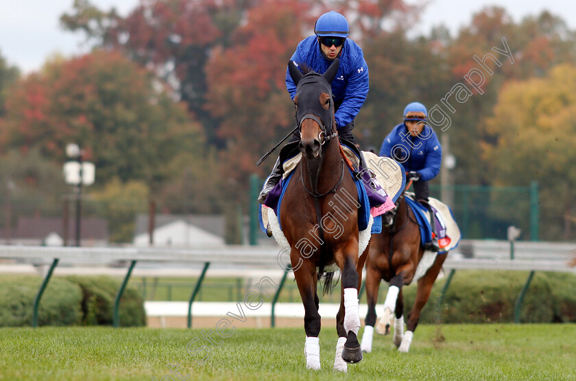 La-Pelosa-0001 
 LA PELOSA exercising ahead of The Breeders' Cup Juvenile Fillies Turf
Churchill Downs USA 30 Oct 2018 - Pic Steven Cargill / Racingfotos.com