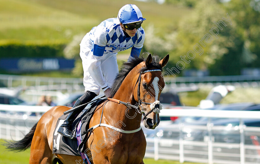 Man-Of-Eden-0001 
 MAN OF EDEN (James Doyle)
Goodwood 26 May 2023 - Pic Steven Cargill / Racingfotos.com