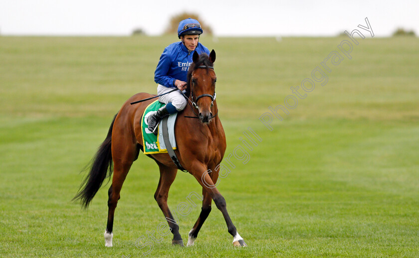 Wild-Beauty 
 WILD BEAUTY (William Buick)
Newmarket 8 Oct 2021 - Pic Steven Cargill / Racingfotos.com