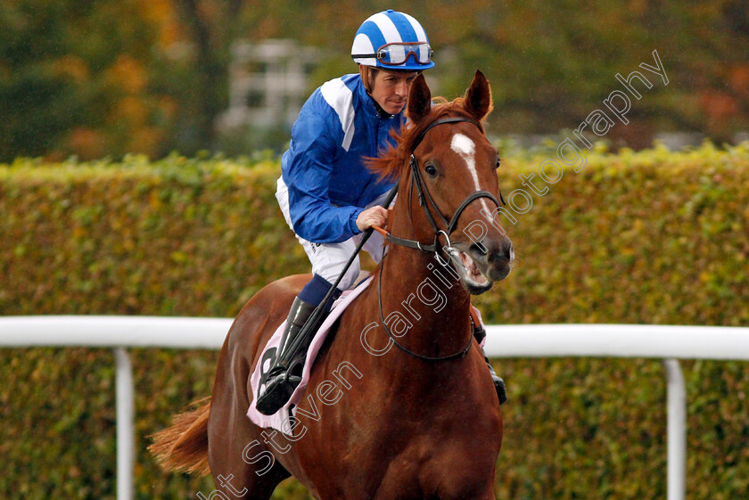 Kawasir-0001 
 KAWASIR (Jim Crowley) Kempton 11 Oct 2017 - Pic Steven Cargill / Racingfotos.com