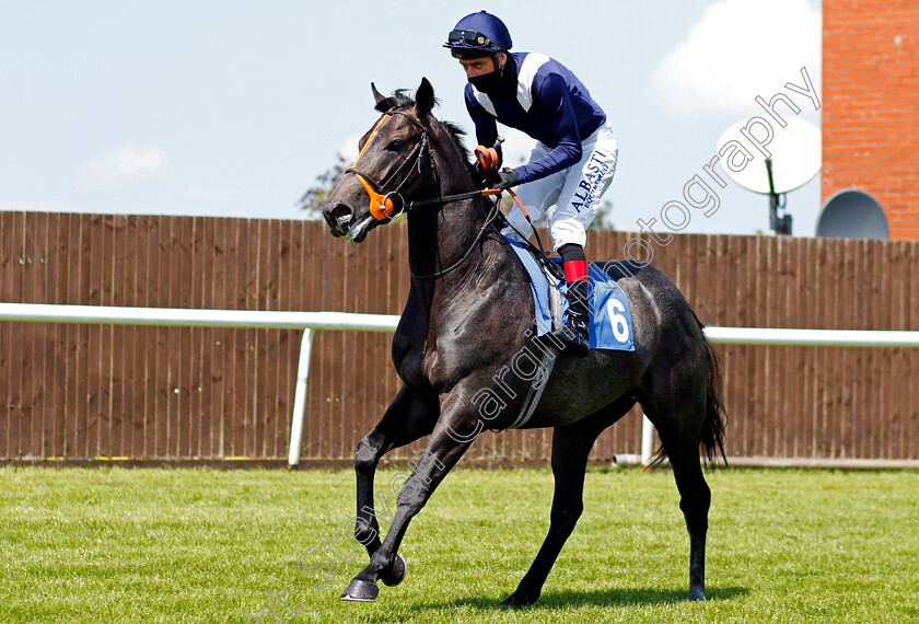 Wings-Of-War-0001 
 WINGS OF WAR (Adam Kirby)
Leicester 1 Jun 2021 - Pic Steven Cargill / Racingfotos.com