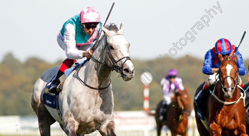 Logician-0020 
 LOGICIAN (Frankie Dettori) wins The William Hill St Leger Stakes
Doncaster 14 Sep 2019 - Pic Steven Cargill / Racingfotos.com