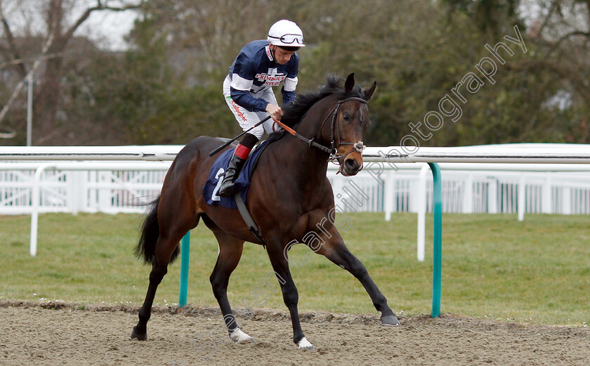 Swiss-Pride-0002 
 SWISS PRIDE (Shane Kelly) winner of The Betway Maiden Stakes
Lingfield 2 Mar 2019 - Pic Steven Cargill / Racingfotos.com