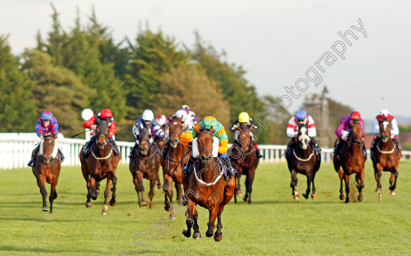 Gamesters-Icon-0001 
 GAMESTERS ICON (Megan Nicholls) wins The Nailsea Electrical Kitchen And Appliance Fillies Handicap
Bath 16 Oct 2019 - Pic Steven Cargill / Racingfotos.com